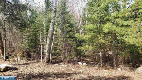 TBD Muskego Point, Cook, MN 55723