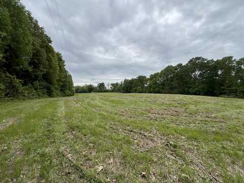 3450 E New Roe Road, Adolphus, KY 42120