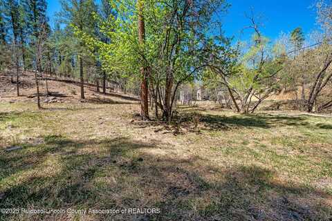 205/209 Flume Canyon Drive, Ruidoso, NM 88345