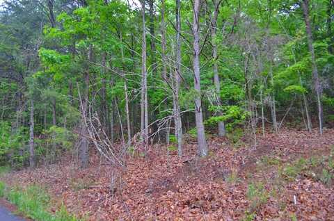 8805 Terrace Falls Drive, Soddy-Daisy, TN 37379