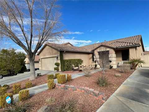 1018 Snow Bunting Court, Henderson, NV 89002