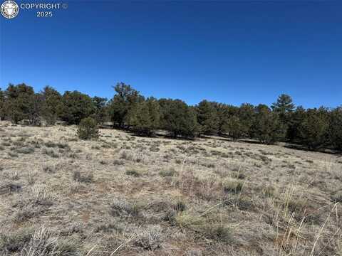 Tr 118 32nd Trail, Cotopaxi, CO 81223