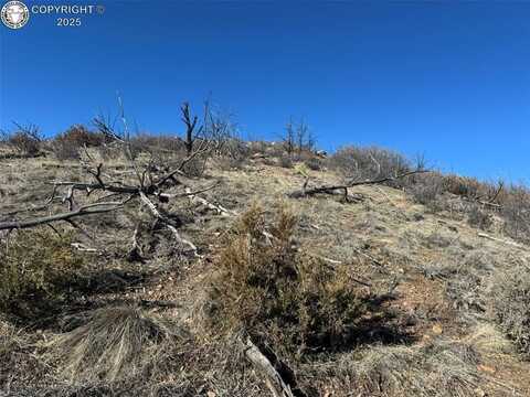 F Path 37th Trail, Cotopaxi, CO 81223