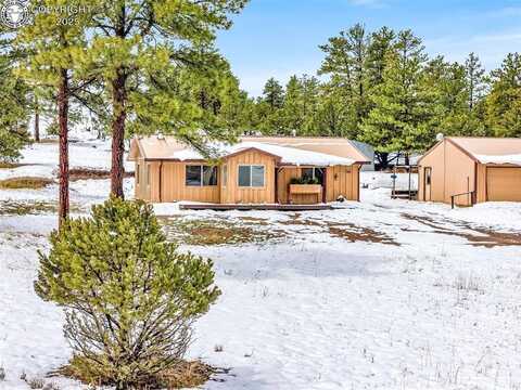 290 Cavalier Drive, Cotopaxi, CO 81223