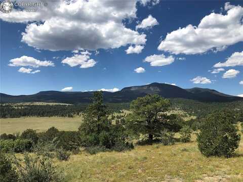 Lot 15 Rosebush Road, Canon City, CO 81212