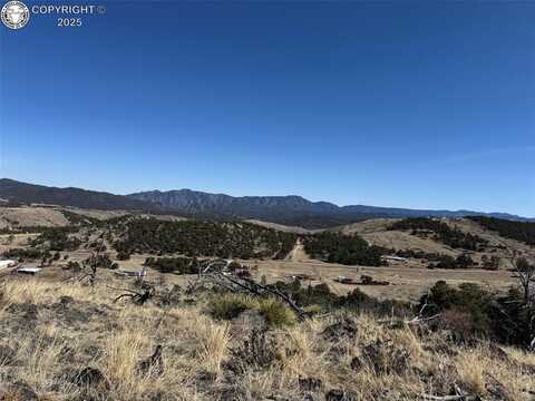 F Path 25th Trail, Cotopaxi, CO 81223