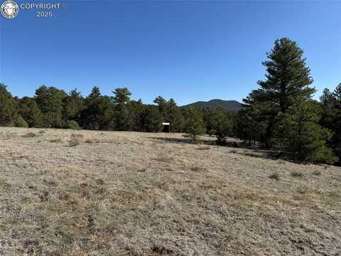156 Marion Lane, Cotopaxi, CO 81223