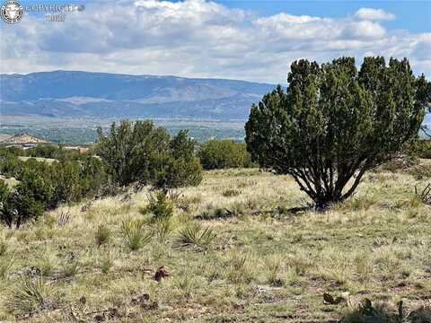 142 N Osprey Court, Canon City, CO 81212