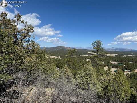 Tr-121 19th Trail, Cotopaxi, CO 81223