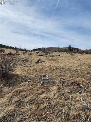000 E Path, Cotopaxi, CO 81223