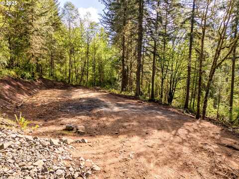 0 Old Spreadborough RD, Kalama, WA 98625