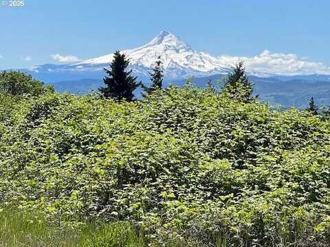 802 W JEWETT BLVD, White Salmon, WA 98672