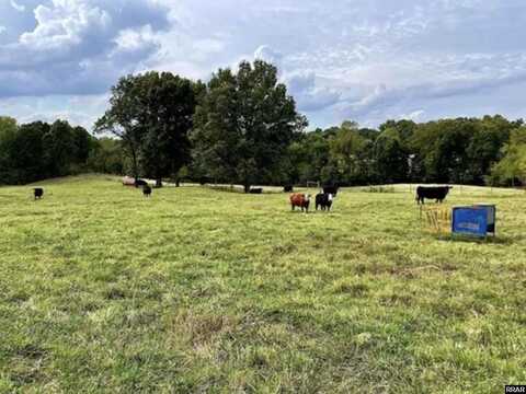 1111 Old Latham, Dresden, TN 38225