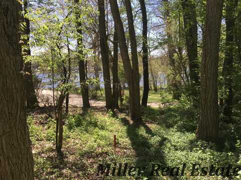 V/L Iroquois Trail, Hastings, MI 49058