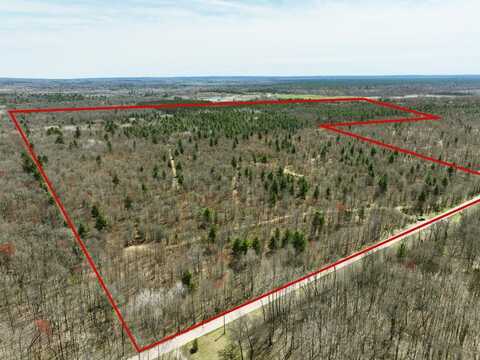 11500 N Willow Avenue, Bitely, MI 49309