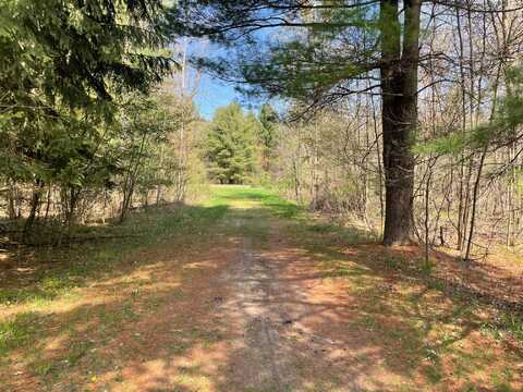 V/L N Benson Road, Fountain, MI 49410