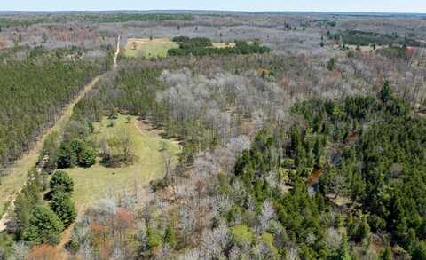 00 V/L 16 Mile Rd., Bitely, MI 49309