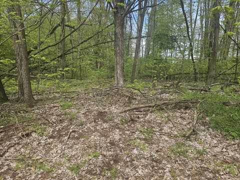 Parkway Avenue, Three Rivers, MI 49093