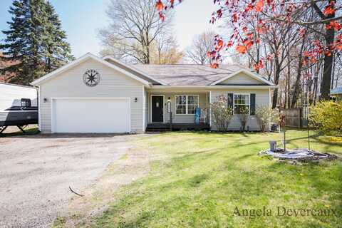 3990 E Shore Drive, Stanton, MI 48888