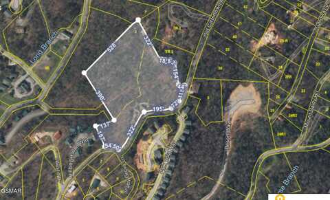 Old Cartertown Road, Gatlinburg, TN 37738
