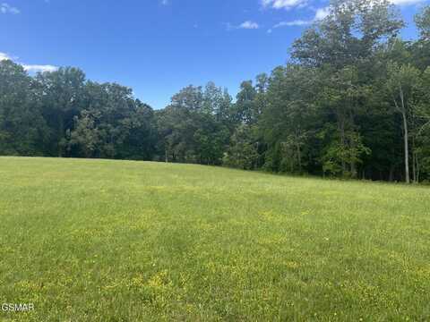 Sunset Boulevard lot: 25&26, White Pine, TN 37890
