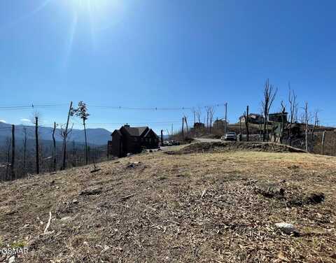 730 Wiley Oakley Drive, Gatlinburg, TN 37738