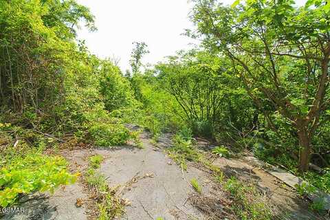 907 Wiley Oakley Drive, Gatlinburg, TN 37738