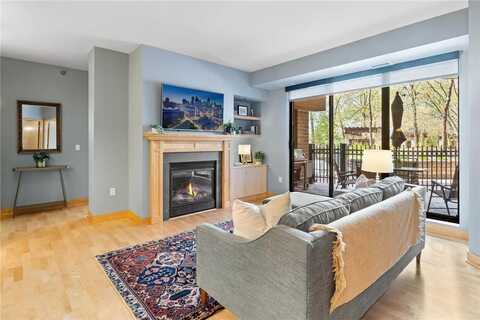 317 Groveland Avenue, Minneapolis, MN 55403
