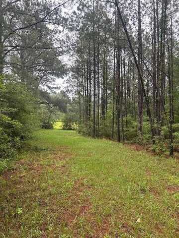 00 Forbes, Sandy Hook, MS 39478