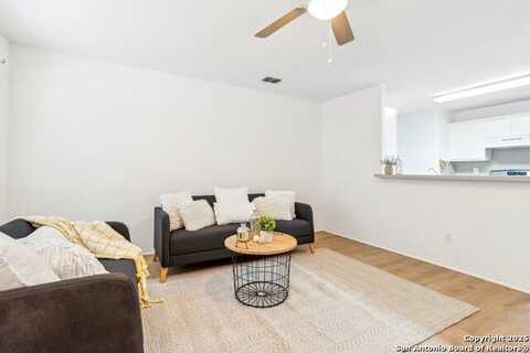 11007 BLUFF CYN, San Antonio, TX 78252