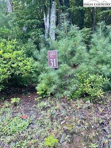 Lot 31 Thoreau Court, West Jefferson, NC 28694