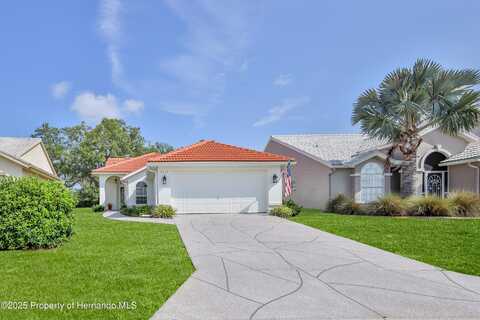 9135 Rhett Lane, Weeki Wachee, FL 34613