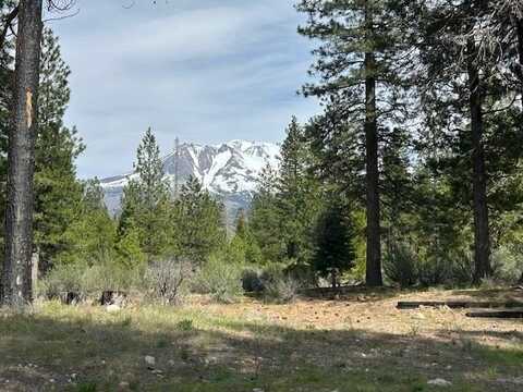 2324 Black Butte Drive, Weed, CA 96094