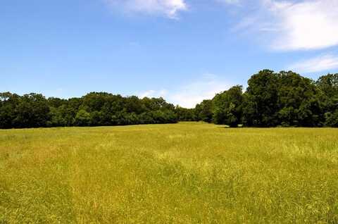 0 CR 2854, Eustace, TX 75124