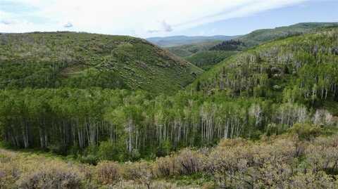 24425 LONE TOOTH TRAIL, Oak Creek, CO 80467