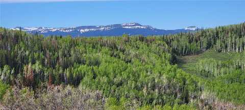 TBD SILVERADO ROAD, Oak Creek, CO 80467