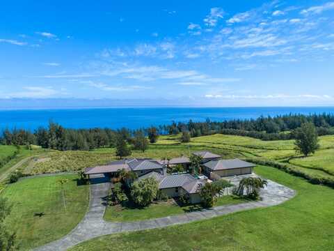 45-3514 NANAINA KAI RD, HONOKAA, HI 96727