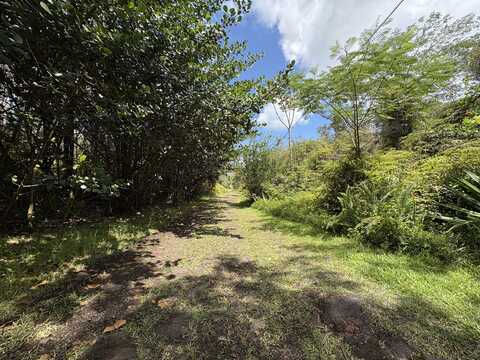 16-1432 POOULI RD, KURTISTOWN, HI 96760