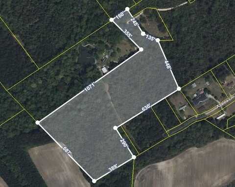 Tbd Plowden Mill Road, Alcolu, SC 29001