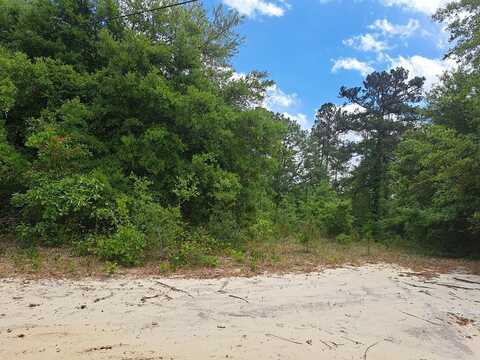 01 Santee Lane, Elloree, SC 29047
