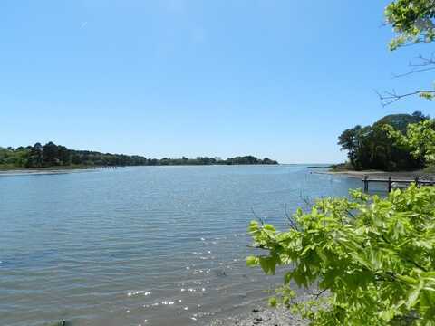 lot 6 BARLOW CREEK LN., EASTVILLE, VA 23347