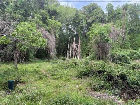 Lot 43 CRADDOCK NECK RD, CRADDOCKVILLE, VA 23341
