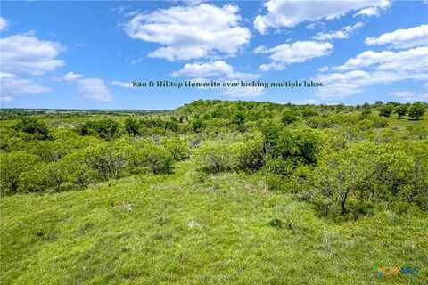 88 Ac. Tract 13 Tower Drive, Moody, TX 76557