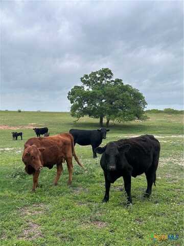 Tbd Tract 2 W Gates Valley Road, Poteet, TX 78065