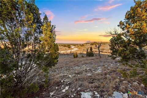 1069 Purple Sage Trail, Blanco, TX 78606