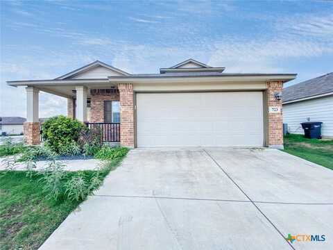 723 Spectrum Drive, New Braunfels, TX 78130