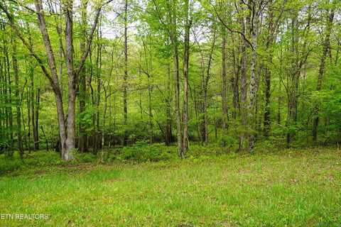 Lot 56 Glade Place, Monterey, TN 38574