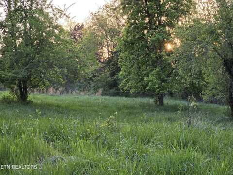 Tbd BOATMANS MOUNTAIN-TR 1 Rd, Morristown, TN 37814