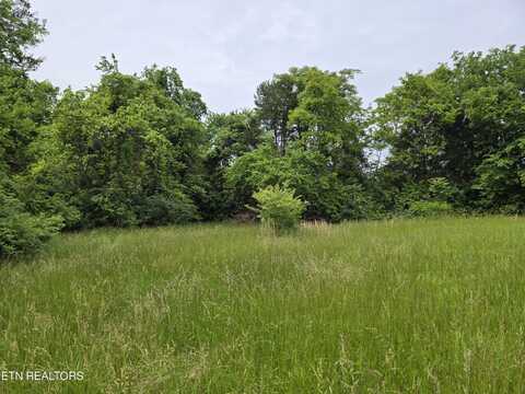 Tbd BOATMANS MOUNTAIN-TR 1 Rd, Morristown, TN 37814