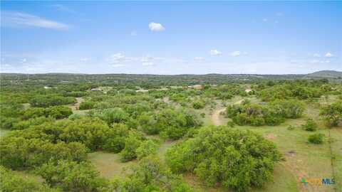 1422-20 RM 2766, Johnson City, TX 78636